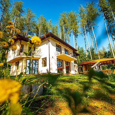 Villa хепи *