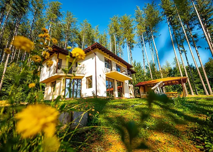 Вилла хепи *